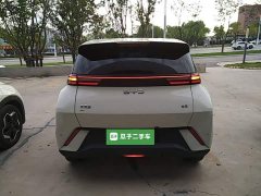BYD Seagull 305km Vitality Edition - ფოტო 5