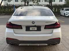 BMW 5 Series 530Li Premier M Sport Package - ფოტო 10