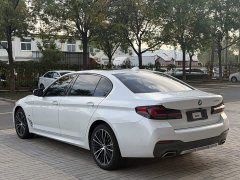 BMW 5 Series 530Li Premier M Sport Package - ფოტო 8