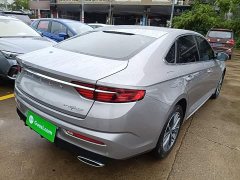 Geely Xingrui 2.0T Diesel Luxury - ფოტო 4