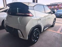BYD Seagull 305km Freedom Edition - ფოტო 11