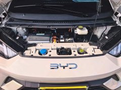 BYD Seagull 305km Freedom Edition - ფოტო 13
