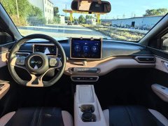 BYD Seagull 305km Freedom Edition - ფოტო 3