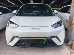 BYD Seagull 305km Freedom Edition - ფოტო 6