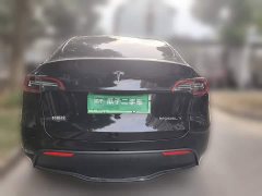 Tesla Model Y Rear-Wheel Drive - ფოტო 11
