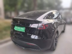 Tesla Model Y Rear-Wheel Drive - ფოტო 12