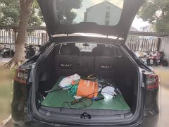 Tesla Model Y Rear-Wheel Drive - ფოტო 16