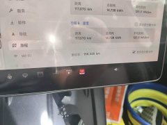 Tesla Model Y Rear-Wheel Drive - ფოტო 4