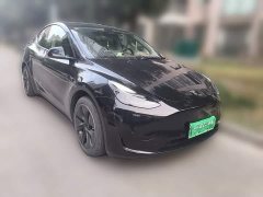 Tesla Model Y Rear-Wheel Drive - ფოტო 7
