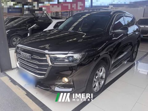 2021 Haval H6 National Trend 1.5GDIT Automatic Champion Edition - car from China