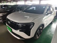 Ford Lingrui EcoBoost 170 Platinum Edition - photo 1