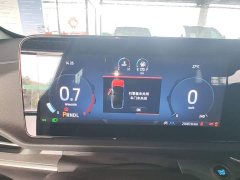 Ford Lingrui EcoBoost 170 Platinum Edition - photo 11