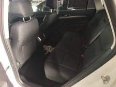 Ford Lingrui EcoBoost 170 Platinum Edition - photo 16