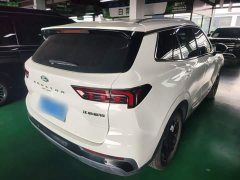 Ford Lingrui EcoBoost 170 Platinum Edition - photo 6