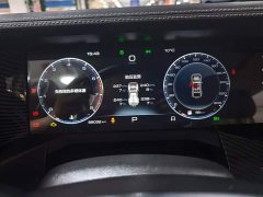 Tank 300 Off-Road Edition 2.0T Conqueror - ფოტო 4