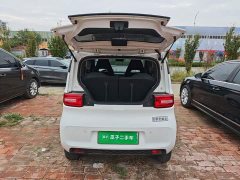 Wuling Hongguang MINIEV Zizai Edition LFP Battery - ფოტო 18