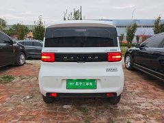 Wuling Hongguang MINIEV Zizai Edition LFP Battery - ფოტო 5