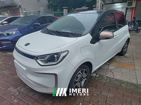 2022 JAC Flower Fairy Jimei Edition 302km Fashion - car from China
