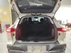 Baojun Yunhai 500km Pure Electric Version - ფოტო 18