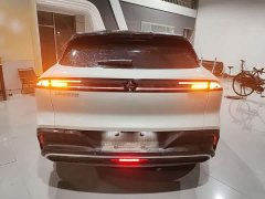 Baojun Yunhai 500km Pure Electric Version - ფოტო 5