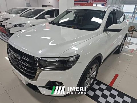 2021 Haval H6 National Trend 1.5GDIT Automatic Champion Edition - car from China