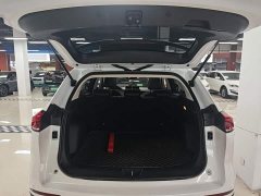 Haval H6 National Trend 1.5GDIT Automatic Champion Edition - photo 18