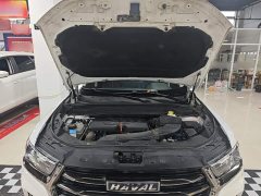 Haval H6 National Trend 1.5GDIT Automatic Champion Edition - photo 19
