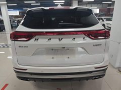 Haval H6 National Trend 1.5GDIT Automatic Champion Edition - photo 5