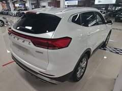 Haval H6 National Trend 1.5GDIT Automatic Champion Edition - photo 6