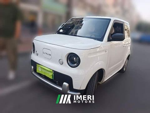 2025 Livan Vitality Edition