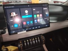 BYD Yuan Plus Glory Edition 510KM Excellence - ფოტო 12