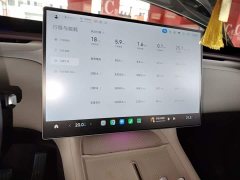 Xiaomi YU7 Rear-Wheel Drive Long-Range Edition - ფოტო 12