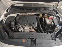SAIC MG6 Pro 1.5T Automatic Trophy Luxury Edition - ფოტო 19