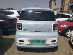 FAW Besturn Xiaoma 222km Lightning Edition - ფოტო 3