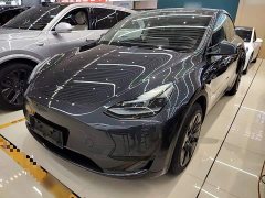 Tesla Model Y Rear-Wheel Drive - ფოტო 1