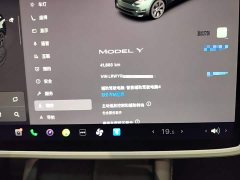 Tesla Model Y Rear-Wheel Drive - ფოტო 11