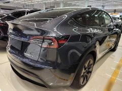 Tesla Model Y Rear-Wheel Drive - ფოტო 6
