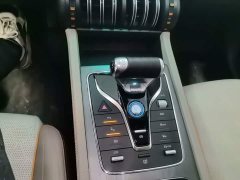 BYD Yuan Plus Champion Edition 510KM Transcendent - ფოტო 13