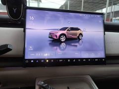 Voyah Lantu Zhiyin Long-Range Smart Comfort Edition - ფოტო 12