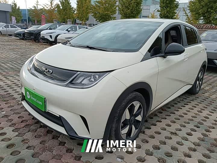 BYD Dolphin 420km Freedom Edition - ავტომობილი ჩინეთიდან