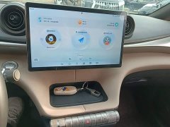 BYD Dolphin 420km Freedom Edition - ფოტო 12