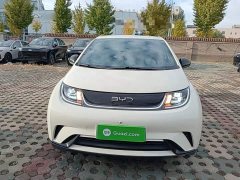 BYD Dolphin 420km Freedom Edition - ფოტო 2