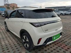BYD Dolphin 420km Freedom Edition - ფოტო 4