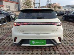 BYD Dolphin 420km Freedom Edition - ფოტო 5