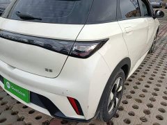 BYD Dolphin 420km Freedom Edition - ფოტო 7