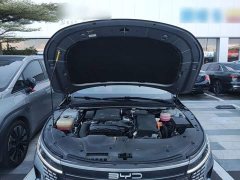 BYD Destroyer 05 DM-i 55KM Luxury - ფოტო 19