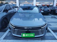 BYD Destroyer 05 DM-i 55KM Luxury - ფოტო 2