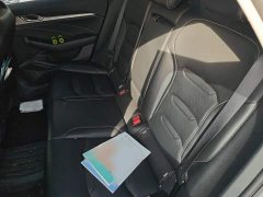 Geely Xingrui 2.0T Diesel Luxury - ფოტო 14
