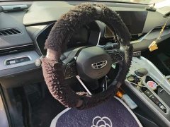 Geely Xingrui 2.0T Diesel Luxury - ფოტო 2
