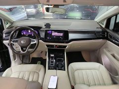 Volkswagen Viloran 380TSI Zunchi Edition - ფოტო 9